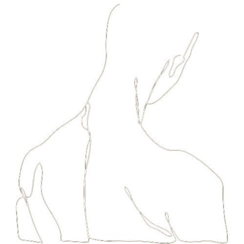 Ostéopathie à Poitiers